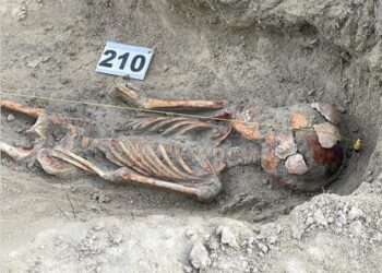 செம்மணி – சித்துபாத்தி மனிதப் புதைகுழியில் மேலும் 4 மனித எலும்புக்கூடுகள் கண்டுபிடிப்பு 