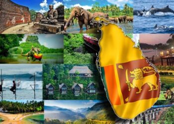 செப்டெம்பர் மாதத்தின் முதல் 7 நாட்களில் 37,495 சுற்றுலாப் பயணிகள் நாட்டுக்கு வருகை!