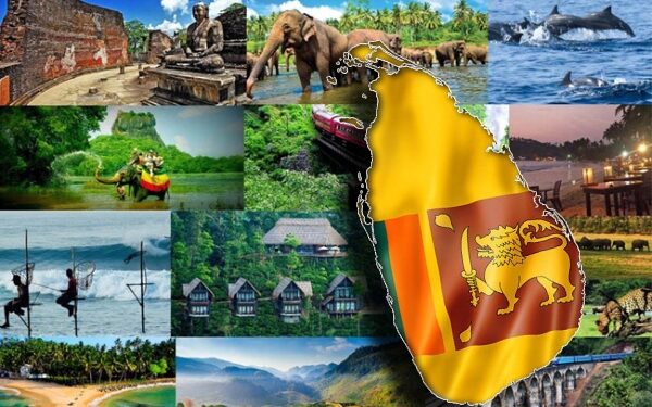 செப்டெம்பர் மாதத்தின் முதல் 7 நாட்களில் 37,495 சுற்றுலாப் பயணிகள் நாட்டுக்கு வருகை!