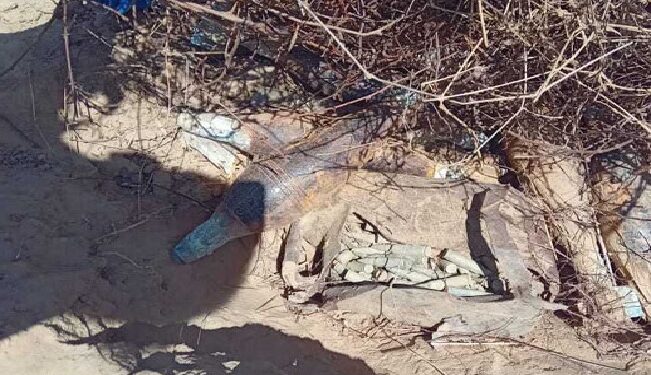 வவுணதீவில் மீட்கப்பட்ட வெடி பொருட்கள் வெடிக்கவைத்து அழிப்பு