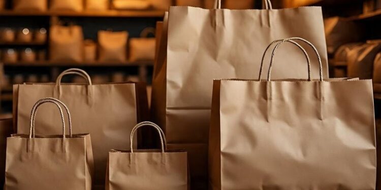 பொலித்தீன் பைகளுக்கு பதிலாக சுற்றுச்சூழலுக்கு உகந்த காகித பைகளை உற்பத்தி செய்யுங்கள்