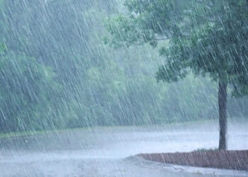 வடக்கு – கிழக்கில் கனமழை மேலும் 3 நாட்கள் நீடிக்கும் – பேரா. பிரதீபராஜா