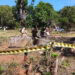 காணாமற்போன அரச அதிகாரி கிணற்றிலிருந்து சடலமாக மீட்பு : தமிழர் பகுதியில் சம்பவம்