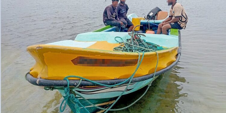 மன்னார், யாழ்ப்பாணத்தில் சட்டவிரோத கடல் அட்டை வேட்டை: 1,400 கடல் அட்டைகள், 3 படகுகளுடன் 7 பேர் கைது!