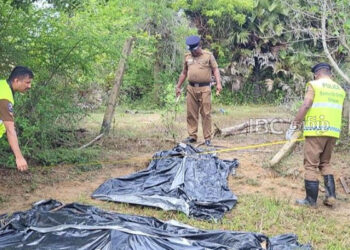 கிளிநொச்சியில் இளைஞன் ஒருவர் வெட்டி கொலை