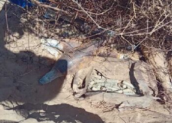 வவுணதீவில் மீட்கப்பட்ட வெடி பொருட்கள் வெடிக்கவைத்து அழிப்பு