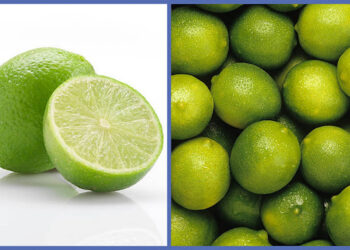 தேசிக்காய் விலை உச்சம்!