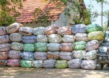 மன்னாரில் 1,292 கிலோ பீடி இலைகள் கடற்படையினரால் கைப்பற்றல்!