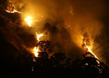 வறண்ட வானிலையினால் ஏற்படும் காட்டுத்தீ அபாயங்கள் குறித்து பேரிடர் மேலாண்மை மையம் அவசர எச்சரிக்கை