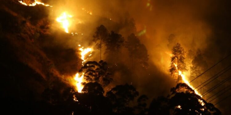 வறண்ட வானிலையினால் ஏற்படும் காட்டுத்தீ அபாயங்கள் குறித்து பேரிடர் மேலாண்மை மையம் அவசர எச்சரிக்கை