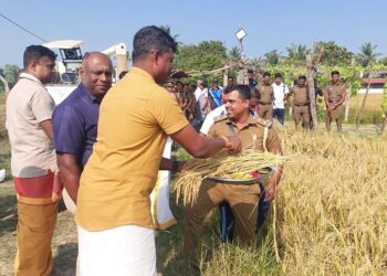 20 ஏக்கர் நிலப்பரப்பில் மட்டக்களப்பு சிறைக்கைதிகளினால் செய்கை பண்ணப்பட்ட நெற்செய்கை அறுவடை