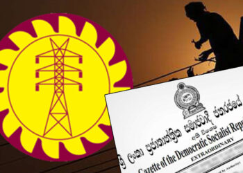 மின்சார சபை கலைக்கப்பட்டது : நடைமுறைக்கு வரும் புதிய நிறுவனங்கள்