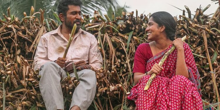 விஜய் அண்டனி நடிக்கும் ‘நூறு சாமி’ படத்தின் முதல் பாடல் வெளியீடு