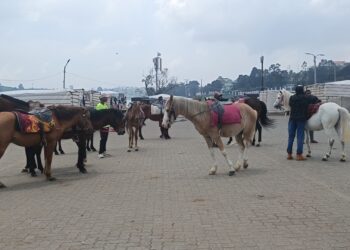 நுவரெலியாவில் வசந்தகால கொண்டாட்டங்கள்! 