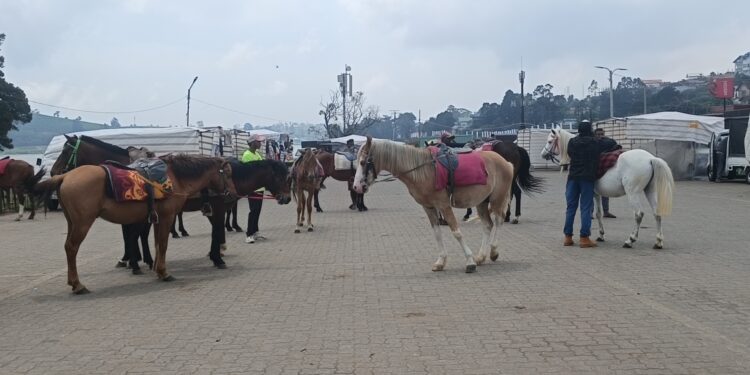 நுவரெலியாவில் வசந்தகால கொண்டாட்டங்கள்! 