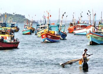 தாயகம் திரும்பவுள்ளனர் கைதான 19 இந்திய மீனவர்கள் 