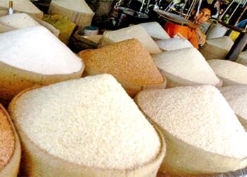 சம்பா, கீரி சம்பாவுக்கு பதிலாக மாற்று அரிசியை இறக்குமதி செய்வதற்கான வர்த்தமானி வெளியானது