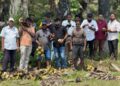 வவுனியாவில் சுதந்திர இளைஞர்கள் ஏற்பாட்டில் நுங்கு வழங்கும் நிகழ்வு