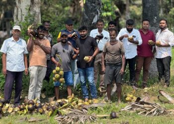 வவுனியாவில் சுதந்திர இளைஞர்கள் ஏற்பாட்டில் நுங்கு வழங்கும் நிகழ்வு