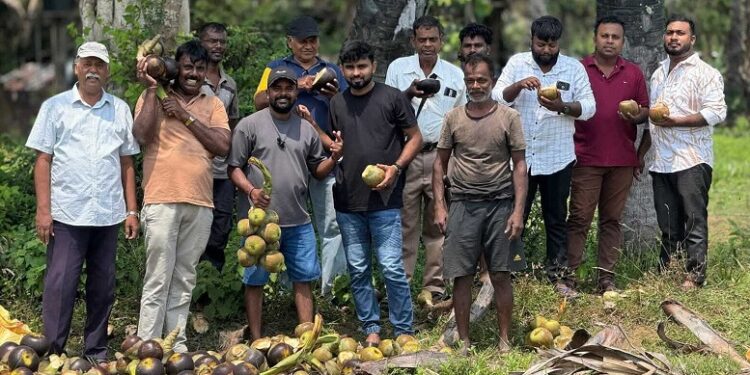 வவுனியாவில் சுதந்திர இளைஞர்கள் ஏற்பாட்டில் நுங்கு வழங்கும் நிகழ்வு