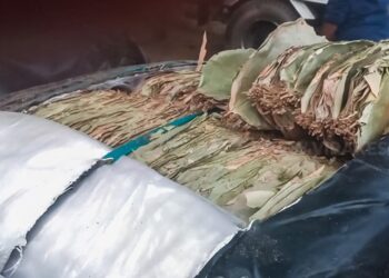 பீடி இலைகள் நீர்கொழும்பில் கைப்பற்றல்