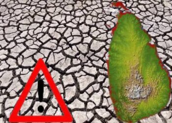வறட்சி நெருக்கடியாக மாறுவதற்கு முன் தயார்நிலையை வலுப்படுத்த வேண்டும் – இலங்கை கோரிக்கை!