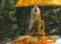 வவுனியா வெடுக்குநாறிமலையில் புத்தரின் சிலை வைக்கப்பட்டு வழிபாடு ; பெருமளவான பௌத்தமக்கள் பங்கெடுப்பு