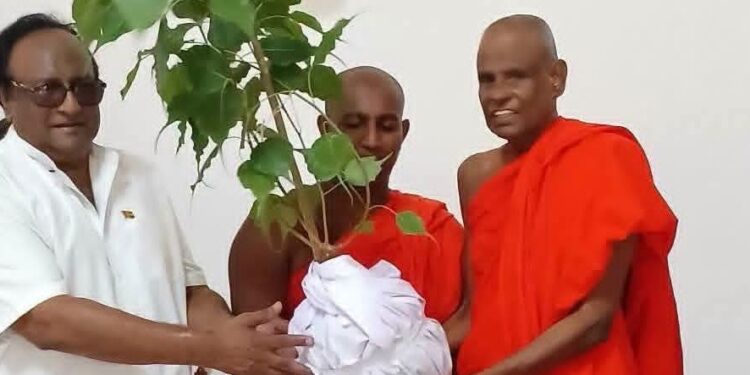 முல்லைத்தீவு பௌத்த விகாரைக்கு ஜய ஸ்ரீ மகா போதியிலிருந்து போதி மரக்கன்று