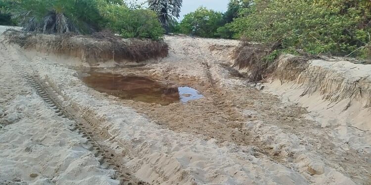 இயக்கச்சியில் தனியார் காணிகளில் மணல் கொள்ளை ; அரச திணைக்களங்களில் முறைப்பாடு அளித்தும் நடவடிக்கை இல்லை!